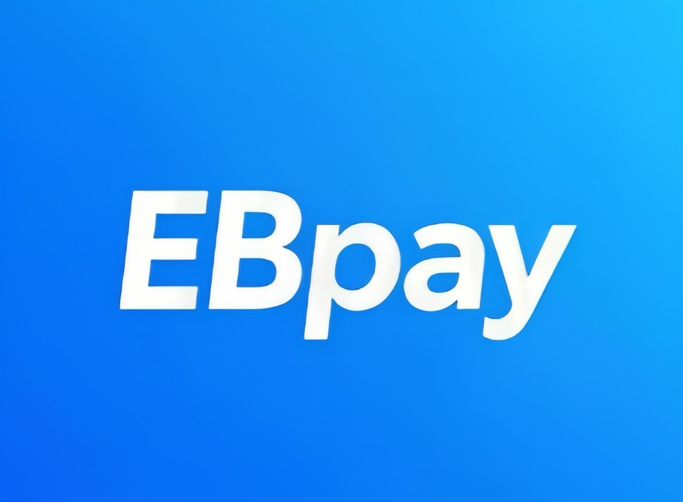 ebpay官网界面说明图
